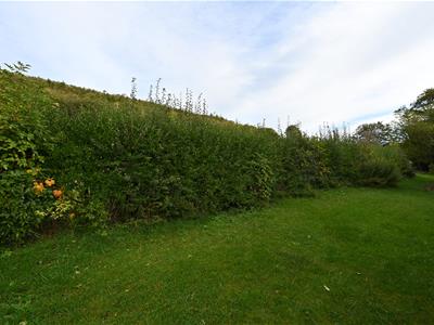 Picture 15